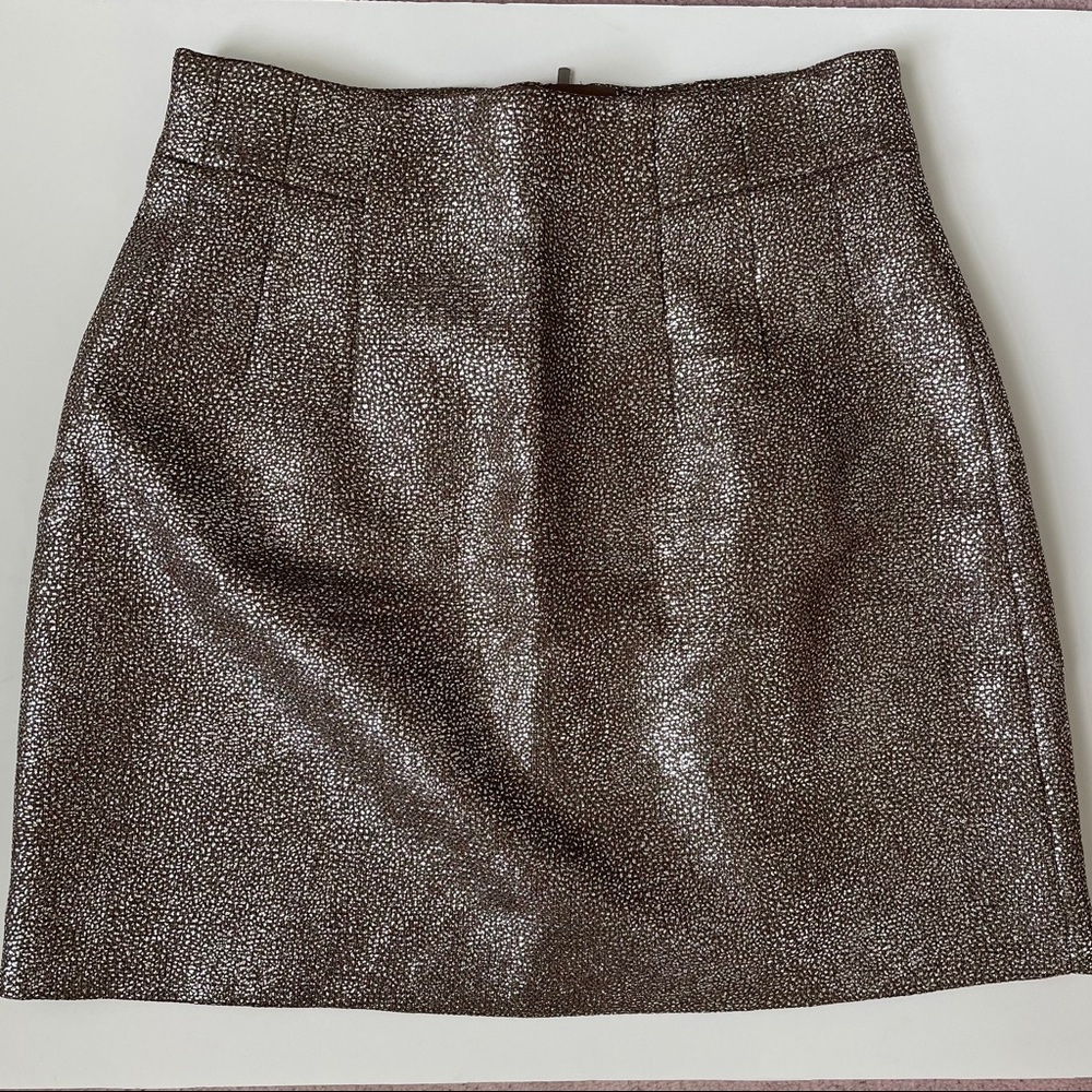 H&M sparkly skirt